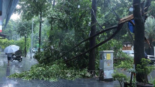 Họp báo Chính phủ thường kỳ tháng 8: Bão đi sâu vào đất liền, người dân Thủ đô không nên ra đường - Ảnh 6.